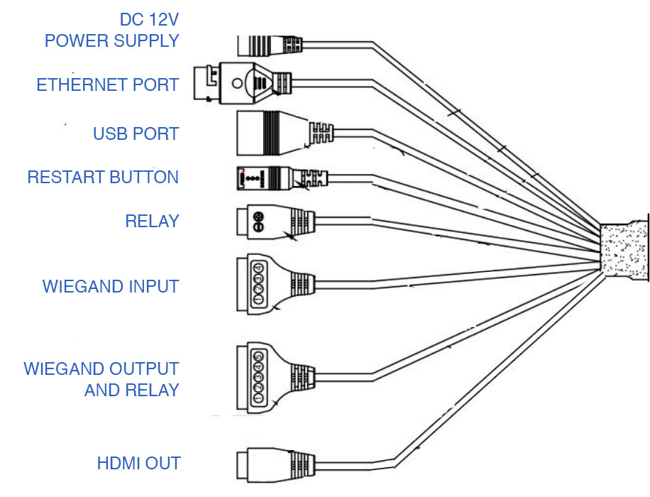 Face Detection with Weigand Output